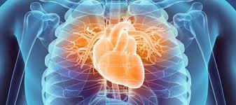 Doctor Course Free webinar