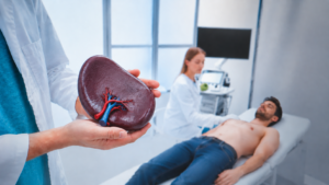 Spleen ultrasound examination showing the spleen during a diagnostic abdominal ultrasound scan